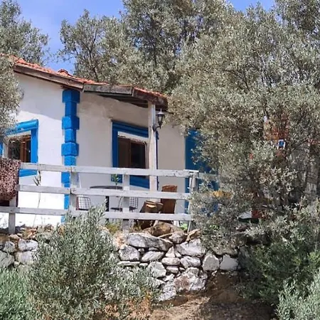 Bagevi Konaklama