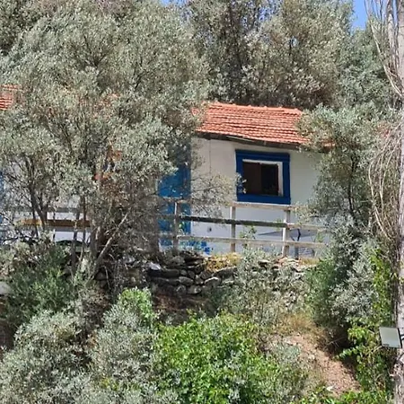 Chalet Bagevi Konaklama *