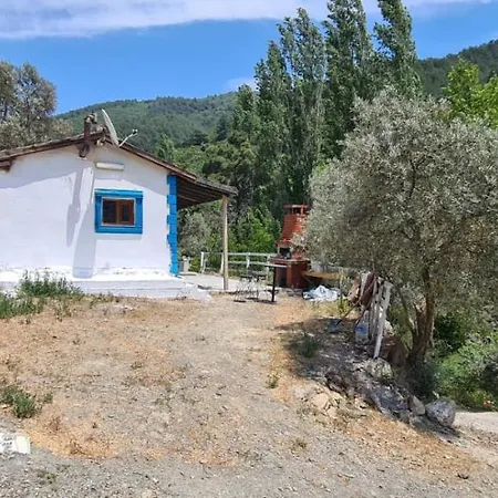 Bagevi Konaklama Narlidere